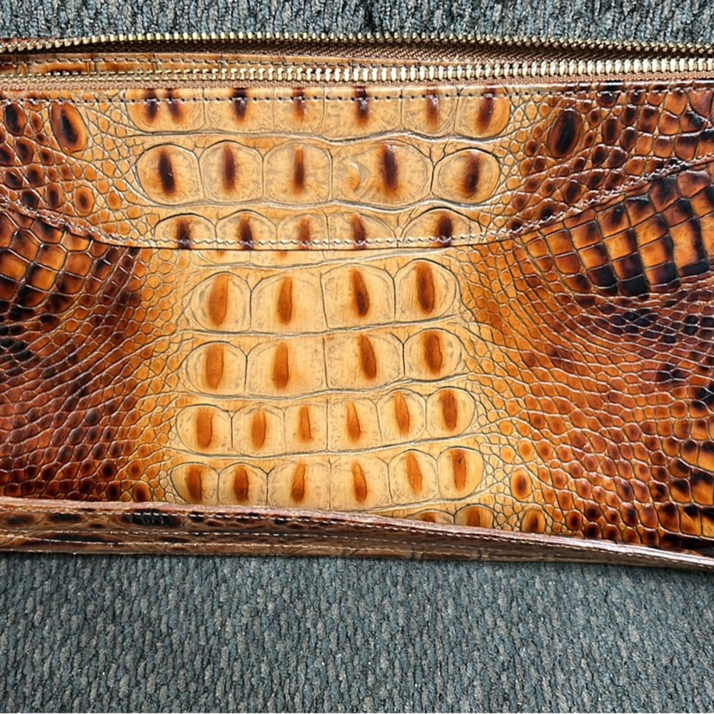 Brown Brahmin